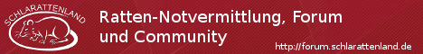 Schlarattenland-Banner
